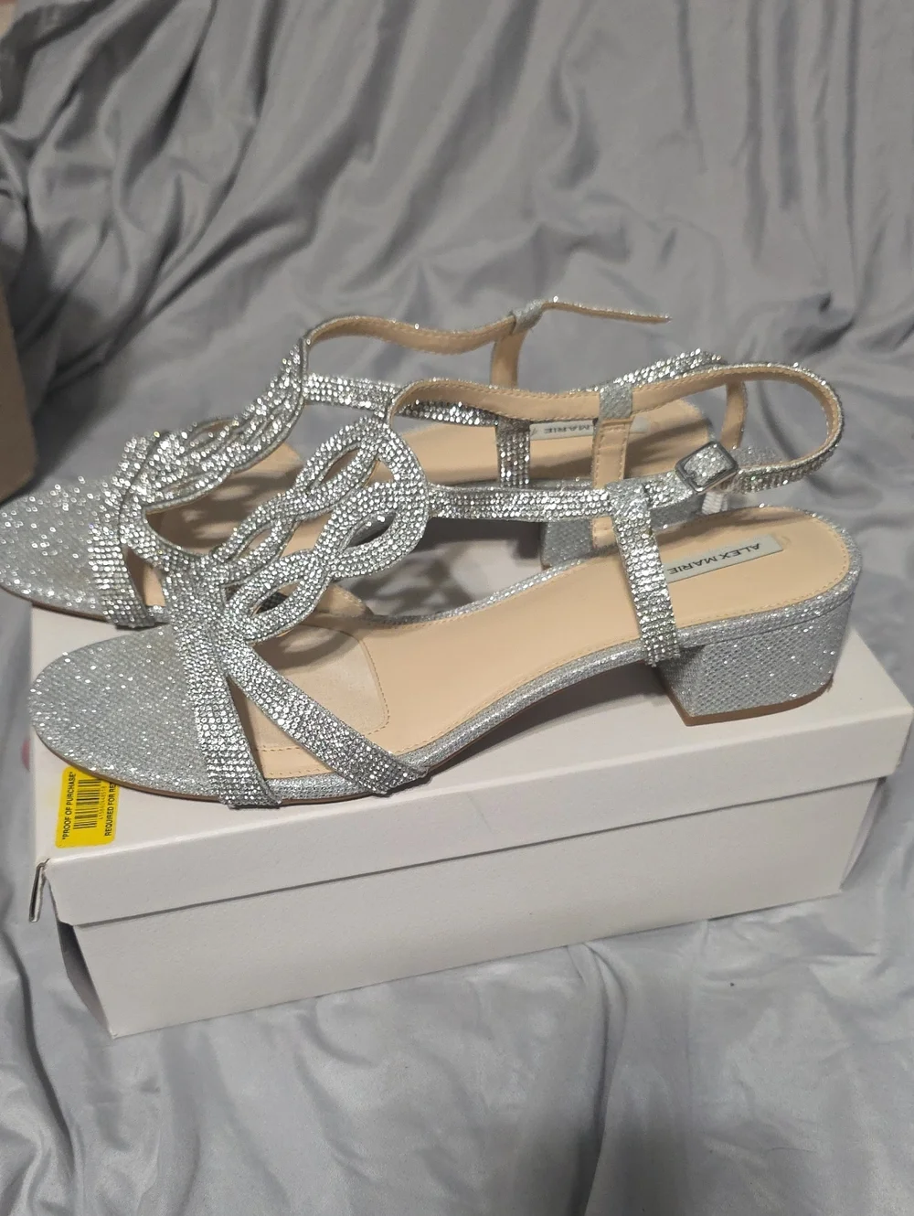 Alex Marie Silver Rhinestone T-Strap Block Heel Sandals